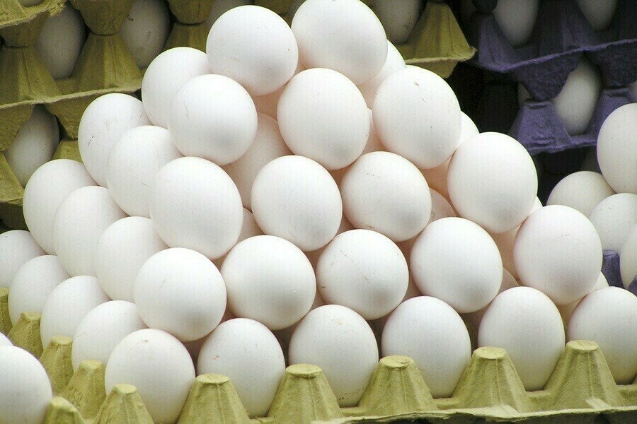 В России куриные яйца с 10 по 15 января подешевели впервые за полгода