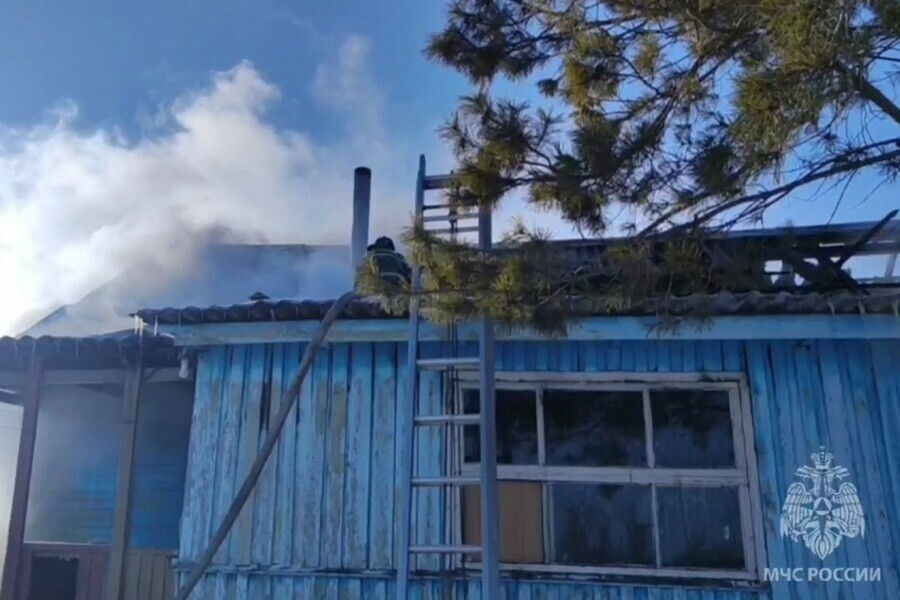 Трагедия в Приамурье двое маленьких детей погибли при пожаре в жилом доме видео 