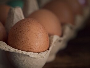 В Приамурье куриные яйца подорожали за год на 60  