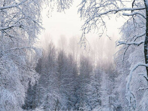Гидрометцентр пообещал Приамурью холодный февраль