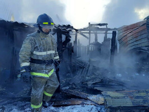 В пожаре в Лермонтовке сгорело два десятка кур и уток фото