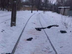 В Хабаровске после страшной гибели мужчины от бездомных собак задержаны чиновник мэрии и глава ветклиники