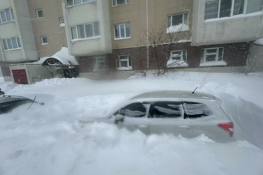 В ЮжноСахалинске люди откапывают свои машины после трехдневного снегопада фото видео 