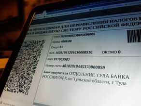 ФНС предупредила о рассылке мошенников от имени налоговой службы
