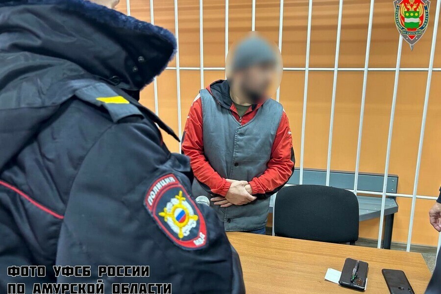 В Амурской области ФСБ задержала иностранца призывавшего к терроризму видео 