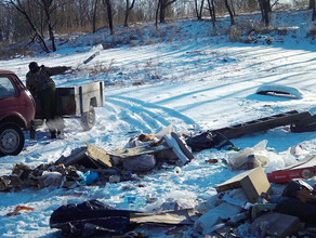 В Амурской области фотоловушка поймала в объектив очередную жертву