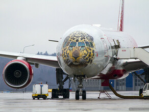 Кто создавал аэрографию Леолета на носу Boeing 777 севшего на новую ВПП в Благовещенске нарисована морда леопарда фото видео