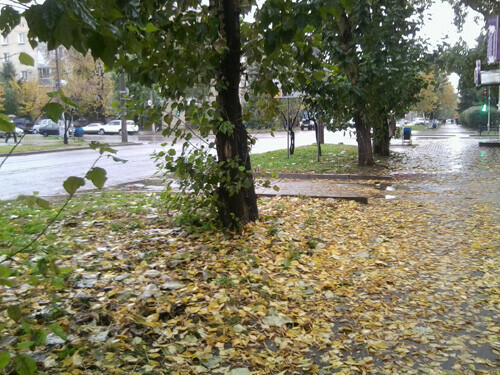 Погода в Амурской области ясная прогноз на 19 ноября