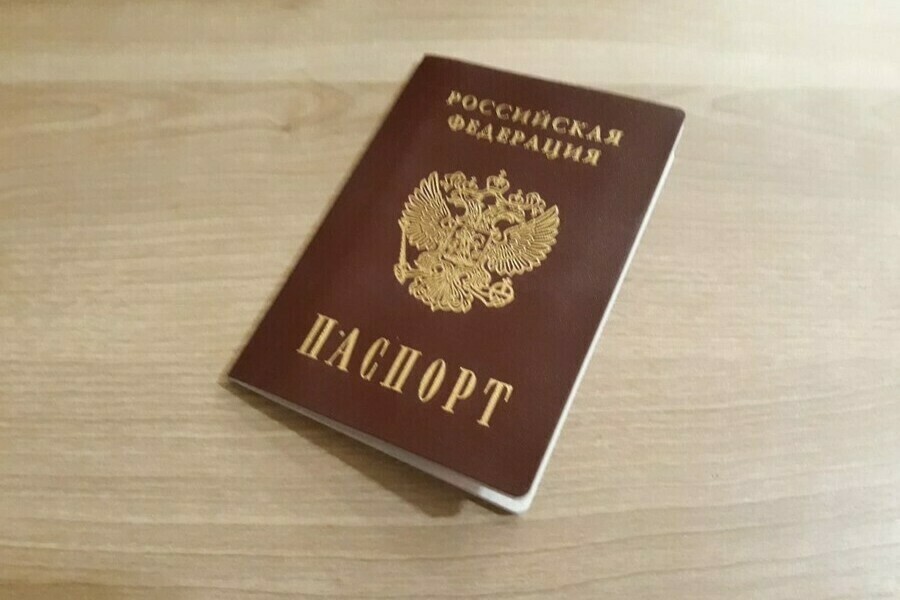 Проект о повышении возраста призыва для получивших гражданство отозван из Думы