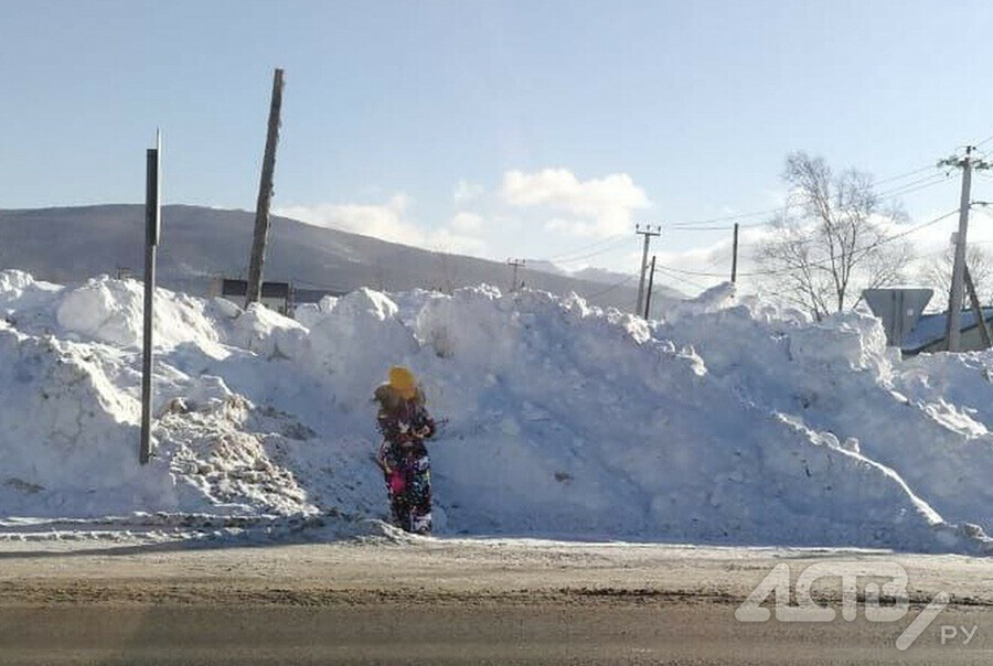 Мэр уволил водителя автобуса высадившего 9летнего ребенка среди сугробов