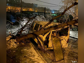 На Владивосток обрушился сначала ледяной дождь а затем снег фото видео