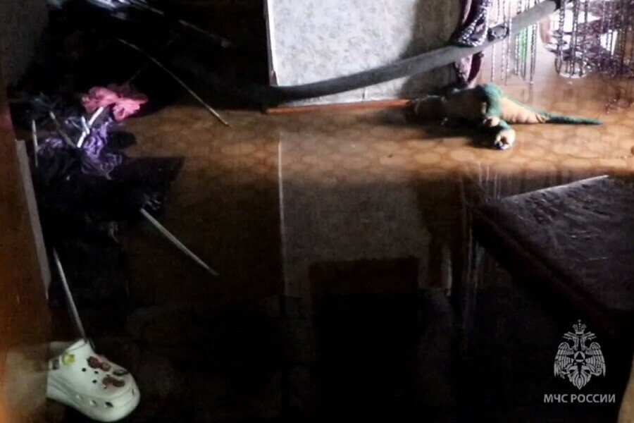 Очевидцы спасли подростка в многоквартирном доме Благовещенска загорелась квартира видео