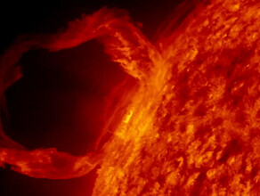 Приближается пик солнечной активности сообщили астрономы