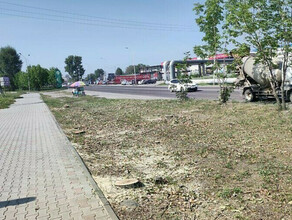 Иностранцы заплатят 3 миллиона рублей за вырубку деревьев в Благовещенске