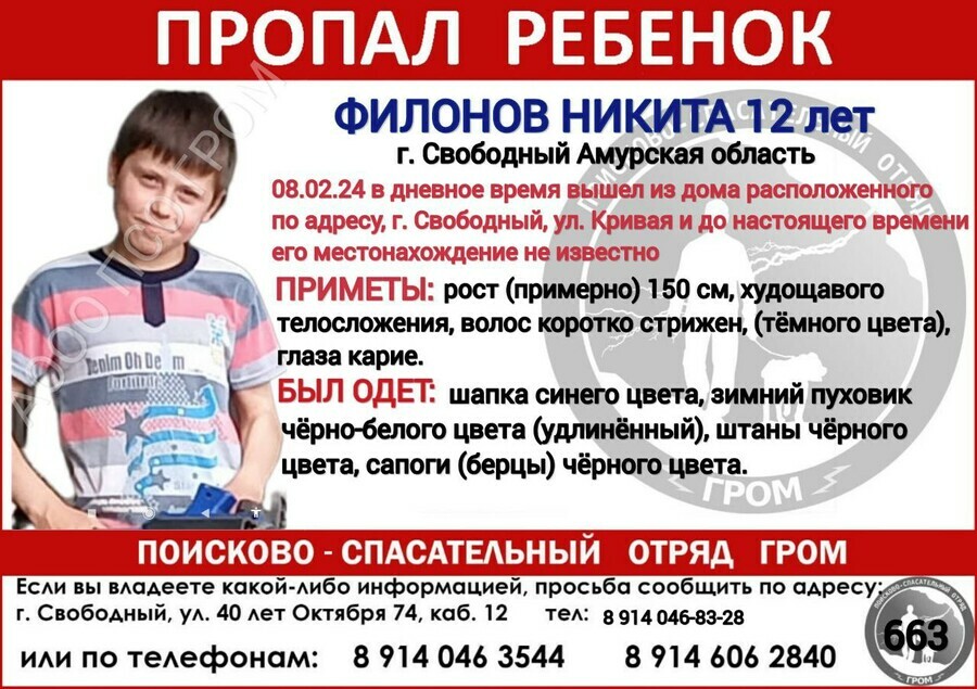 В Свободном не вернулся с прогулки ребенок развернут срочный поиск