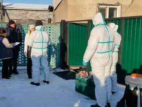 В Амурской области новый случай бешенства зараженный кот поцарапал хозяина