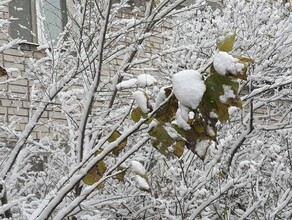 Облачно снег до минус 11 прогноз погоды в Амурской области на 20 ноября