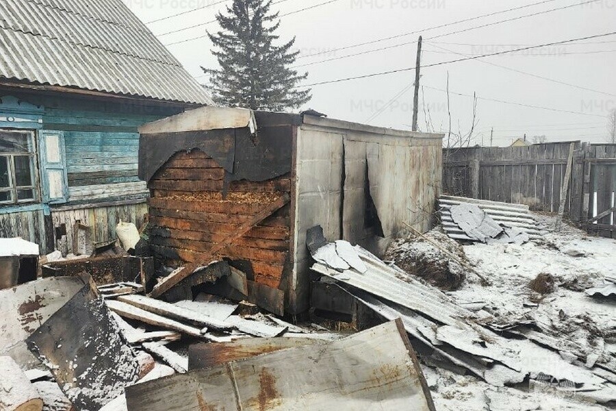 Погибли животные в подворье Шимановска произошел пожар фото 