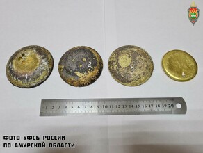 У амурчанина изъяли драгоценный металл более чем на 24 миллиона рублей Сказал что нашел в лесу