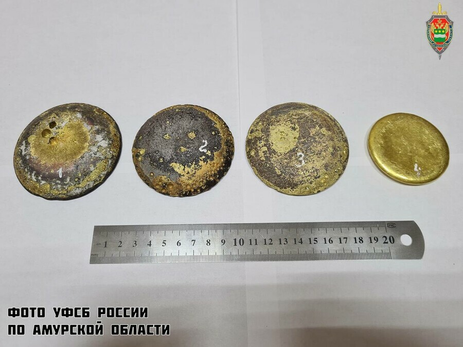 У амурчанина изъяли драгоценный металл более чем на 24 миллиона рублей Сказал что нашел в лесу