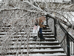 Апокалипсис во Владивостоке Падают деревья и столбы остановился транспорт Объявлен режим ЧС фото видео
