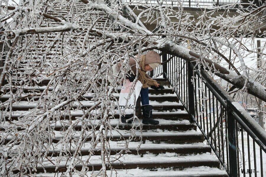 Апокалипсис во Владивостоке Падают деревья и столбы остановился транспорт Объявлен режим ЧС фото видео