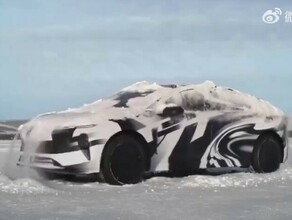 В Китае создали автомобиль который умеет отряхиваться от снега видео
