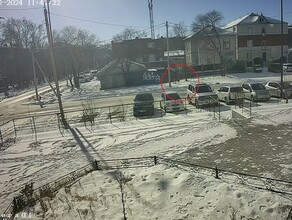 В центре Благовещенска собака напала на прохожего Ранее она нападала на другого благовещенца видео