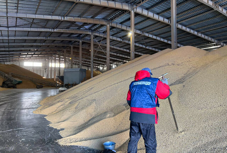 Лес соя пшеница шрот Что еще отправило Приамурье на внутренний рынок в этом году