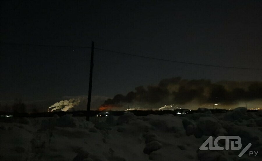 Сотрудники крупнейшей на Дальнем Востоке птицефабрики вынуждены жить на работе после вспышки птичьего гриппа 