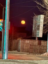 Амурчане делятся снимками огромной оранжевой луны