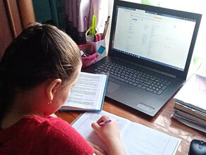 Школам Амурской области рекомендовали рассмотреть возможность дистанционного обучения