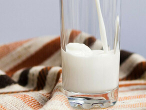 В Приамурье запретили продавать молоко из Краснодарского края
