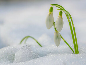 Каким будет первый день весны в Амурской области прогноз погоды на 1 марта