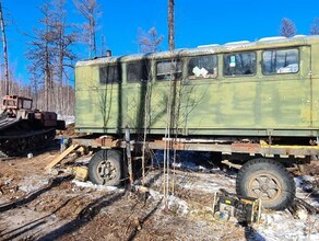 В амурских лесах нашли деляну где незаконно вырубили деревья 