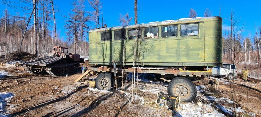 В амурских лесах нашли деляну где незаконно вырубили деревья 