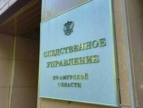 Одного из руководителей организации Благовещенска подозревают в продаже секретной информации