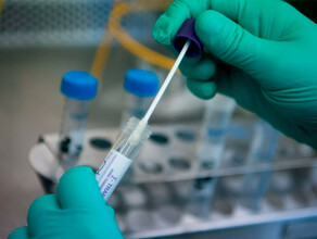 В Амурской области выявлено 157 новых больных коронавирусом