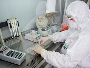В Амурской области купили лаборатории для тестов на COVID19 В правительстве рассказали в какие города их направят