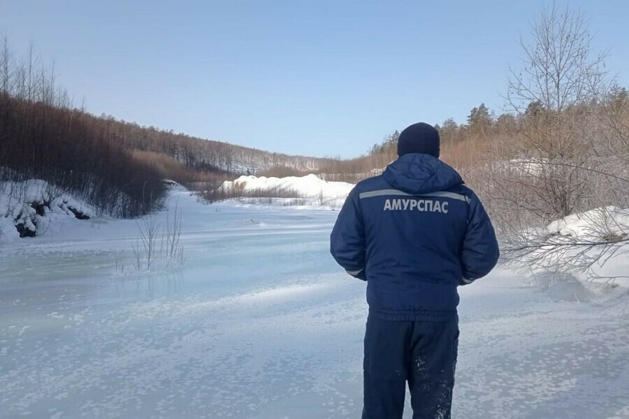 Следы обрывались на дороге завершились поиски амурчанина который пропал в лесу Зейского округа фото 