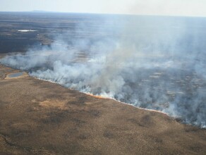 Амурская область готовится встретить весенние пожары 