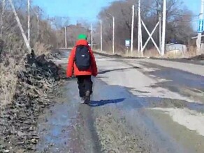 Через грязь и бездомных собак общественники просят организовать школьный автобус в отдаленном районе Благовещенска видео 