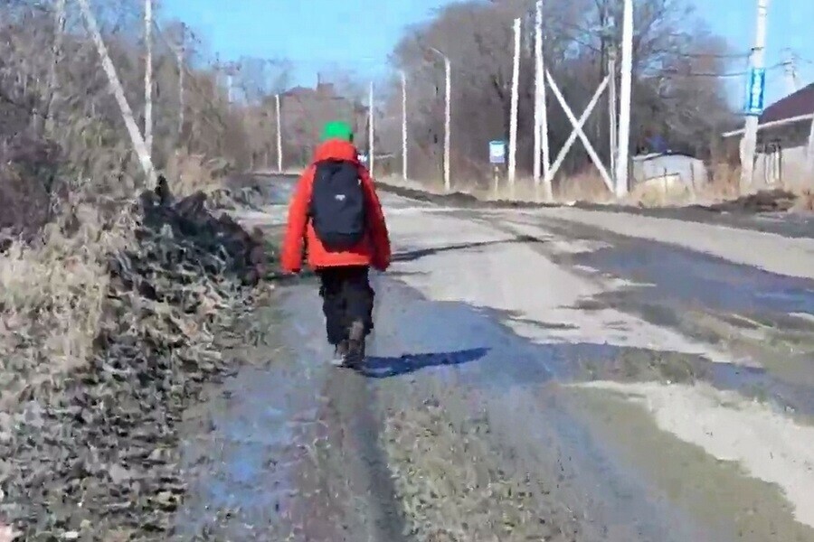 Через грязь и бездомных собак общественники просят организовать школьный автобус в отдаленном районе Благовещенска видео 