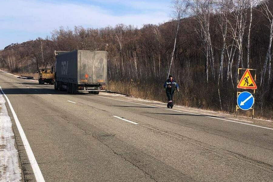 На трассе в Приамурье изза серьезной поломки застряла фура Водителей просят быть внимательнее 