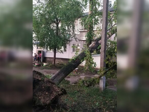 Разгул стихии в Екатеринославке упали водонапорные башни деревья вырвало с корнем фото видео 