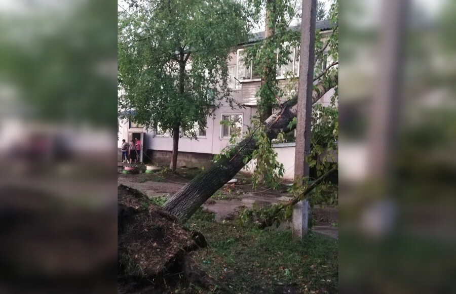 Разгул стихии в Екатеринославке упали водонапорные башни деревья вырвало с корнем фото видео 