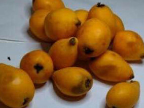 В Приамурье из Китая привезли и обследовали экзотический фрукт 