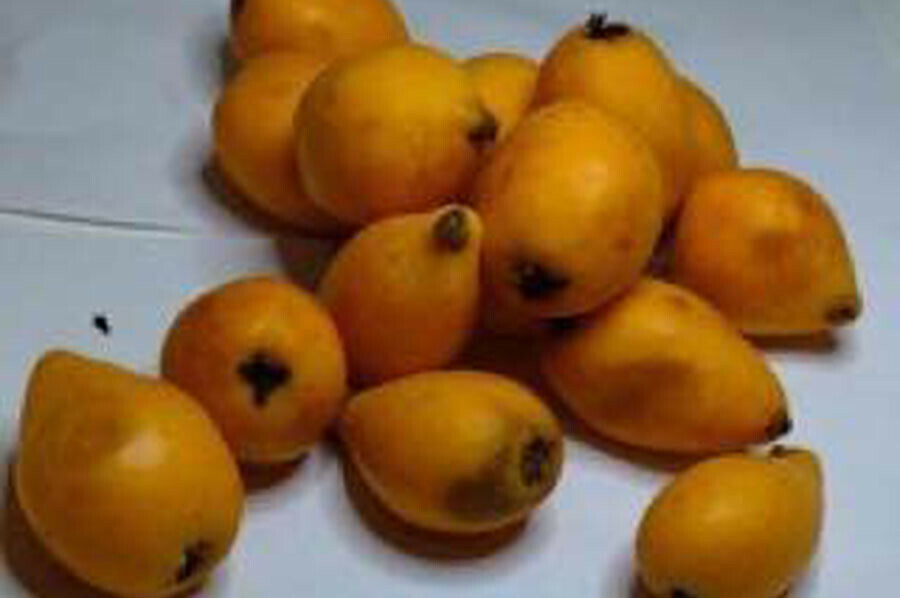В Приамурье из Китая привезли и обследовали экзотический фрукт 