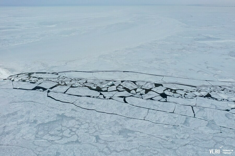 Подводные землетрясения разрушили морской лёд во Владивостоке