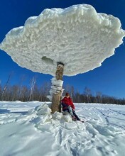 В Приамурье всё еще можно увидеть необычное природное явление  ледяные грибы видео